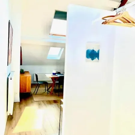 Cozy In * 안트베르펜